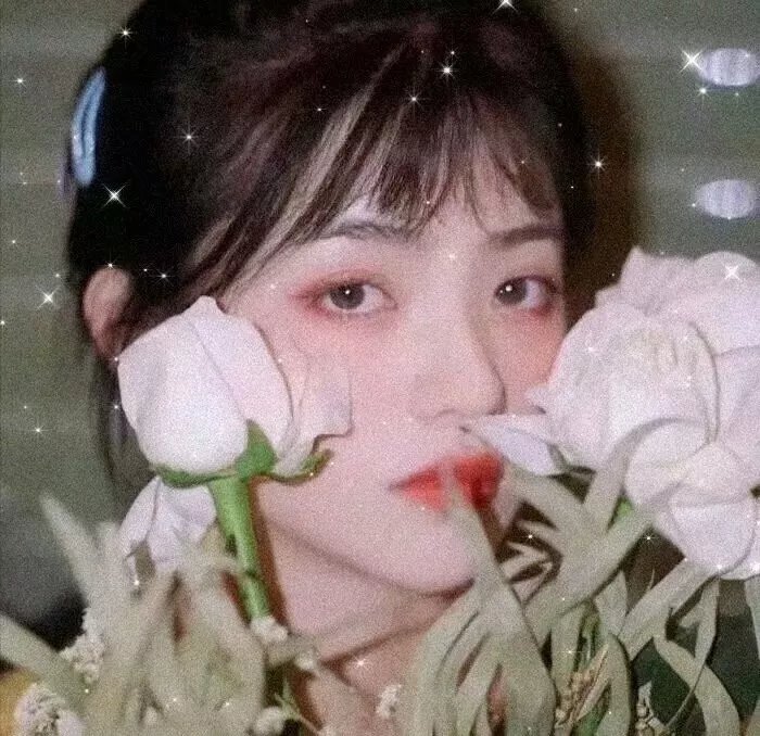 荷花淀